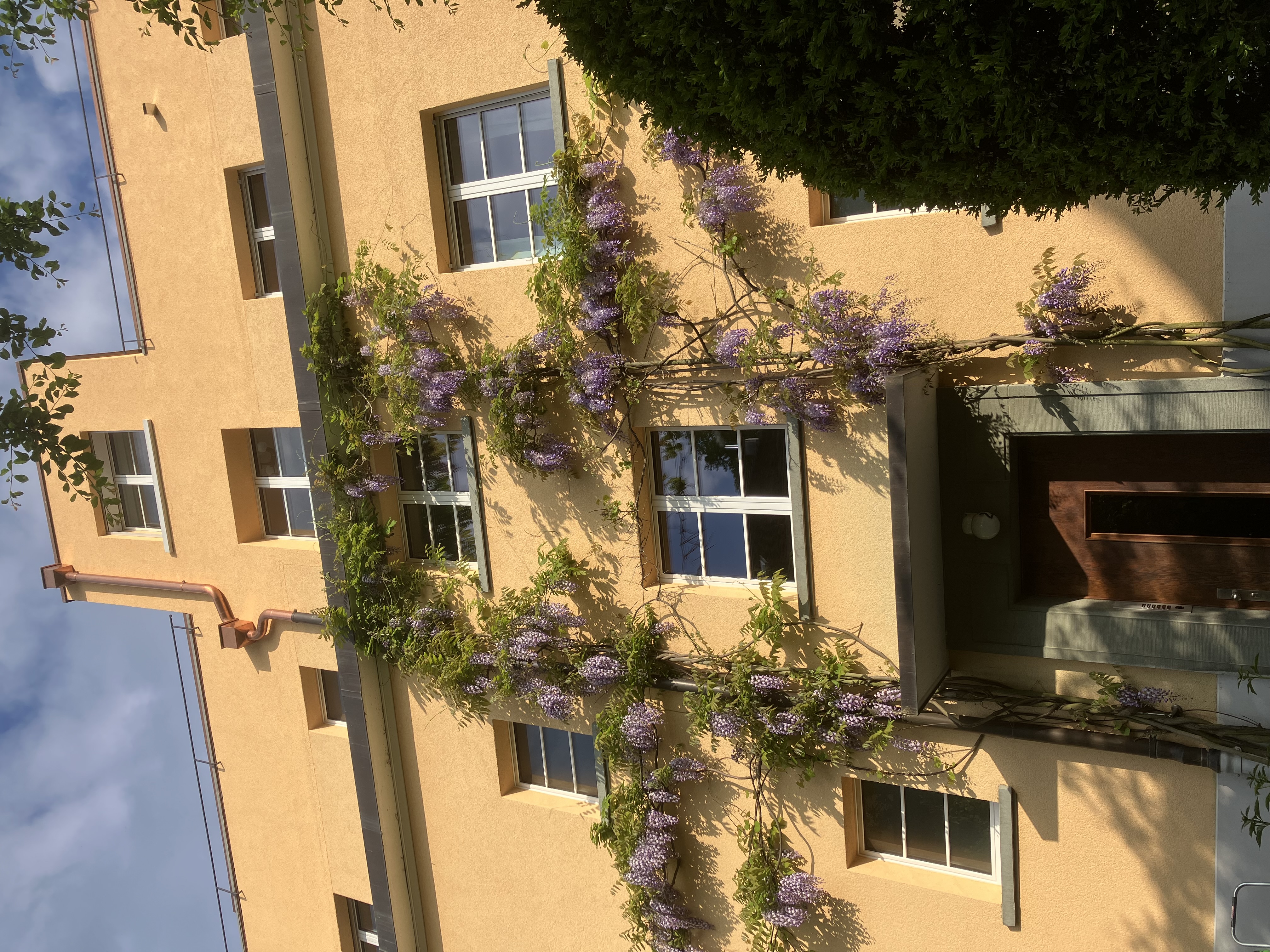 Apartment Balcony