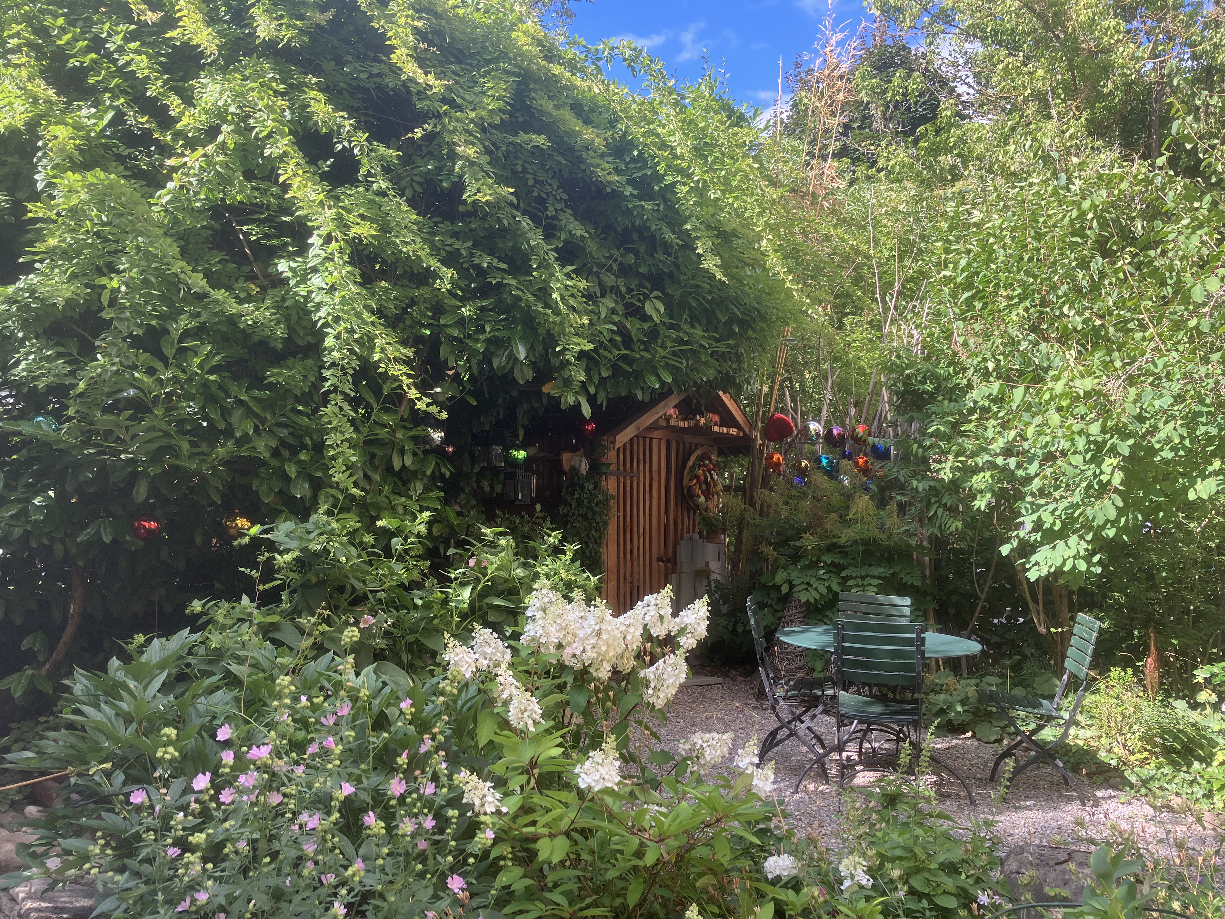 Garden Area